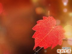 敷对面膜 千万别让面膜效果为零