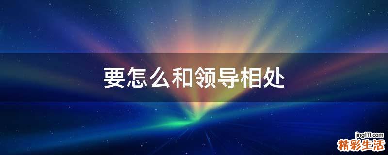 要怎么和领导相处