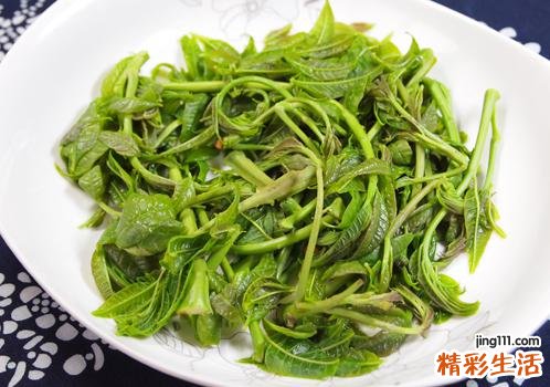 香椿放冰箱能保存多久 怎么放？能保存多久？