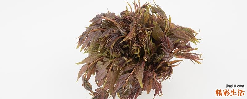 香椿和臭椿的区别 从叶片、花朵、树干区分香椿和臭椿！