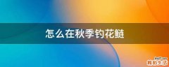 怎么在秋季钓花鲢