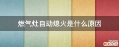 燃气灶自动熄火是什么原因