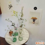 什么是绒毛膜癌