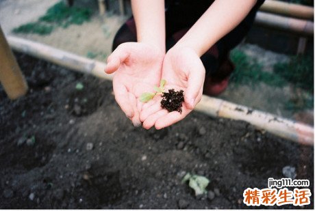 恶性葡萄胎和绒毛膜癌
