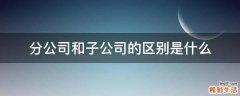 分公司和子公司的区别是什么