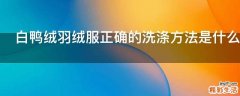 白鸭绒羽绒服正确的洗涤方法是什么