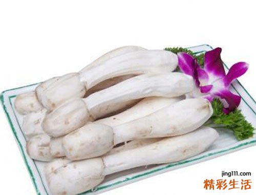 鸡腿菇和杏鲍菇的区别