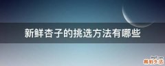 新鲜杏子的挑选方法有哪些
