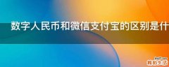 数字人民币和微信支付宝的区别是什么
