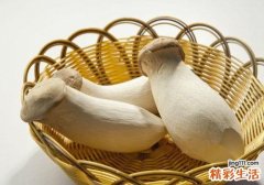 杏鲍菇有毒吗