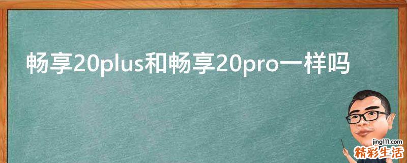 畅享20plus和畅享20pro一样吗