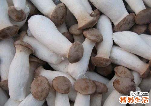 杏鲍菇与什么食物搭配 杏鲍菇吃了有什么功效