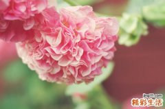 尿黄似浓茶是怎么回事？