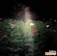 眼袋术后如何恢复_眼袋后术恢复方法