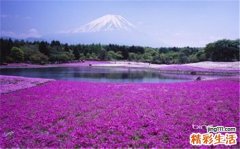 绝经过渡期及绝经后闭经是怎么回事？