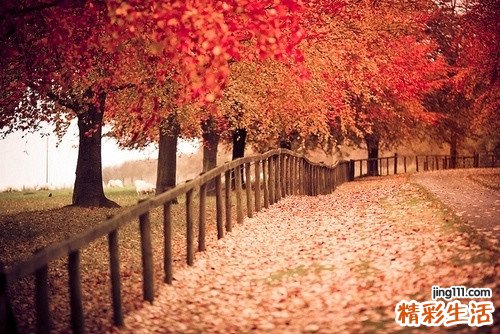 女人和男人 谁更在乎对方的第一次