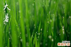 2023年大暑是几点几分几秒