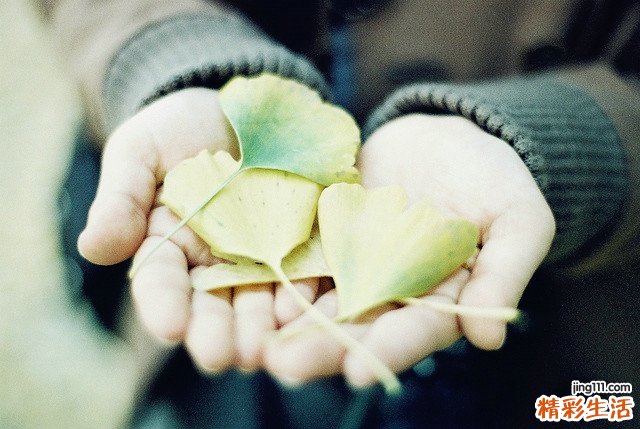 喻示你要升职的五大梦境