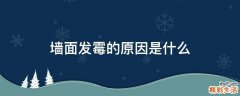 墙面发霉的原因是什么
