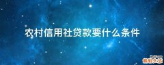 农村信用社贷款要什么条件