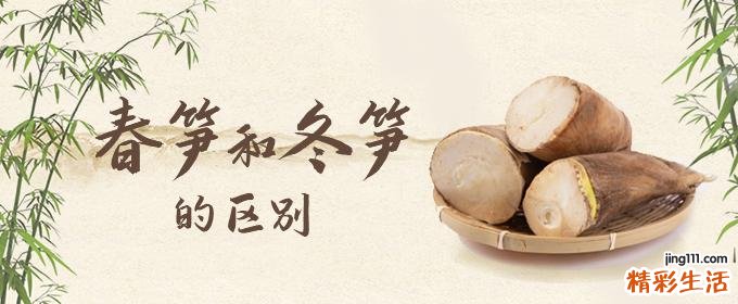 春笋和冬笋的区别 春笋和冬笋是同一颗竹子长的吗