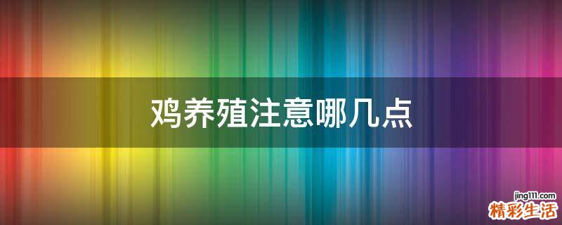 鸡养殖注意哪几点