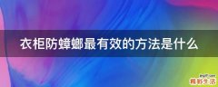衣柜防蟑螂最有效的方法是什么