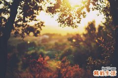 4 学会5方法 轻松驾驭自己情绪