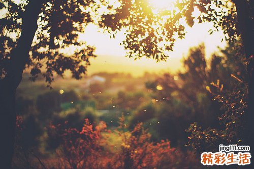 4 学会5方法 轻松驾驭自己情绪