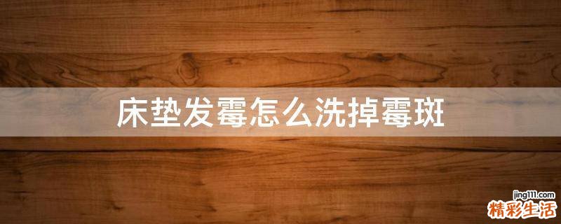 床垫发霉怎么洗掉霉斑