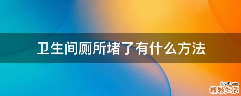 卫生间厕所堵了有什么方法