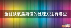 鱼缸缺氧最简便的处理方法有哪些