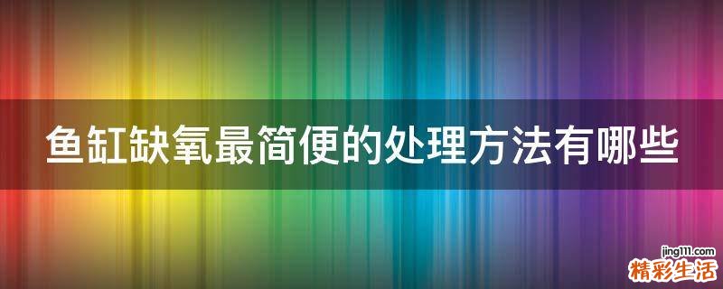 鱼缸缺氧最简便的处理方法有哪些