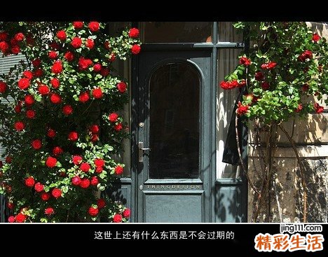 温肾健脾调周茶