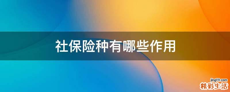 社保险种有哪些作用
