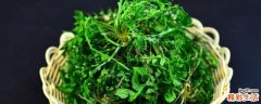 荠菜放冰箱里怎么保存 荠菜放冰箱冷冻一年还可以吃吗