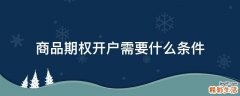 商品期权开户需要什么条件