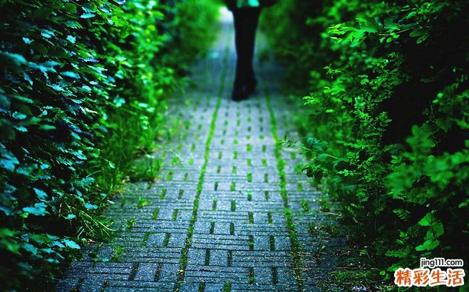 老人噎食 紧急抢救