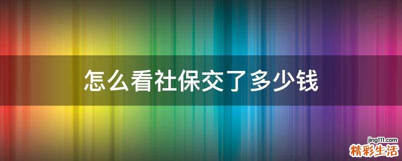 怎么看社保交了多少钱
