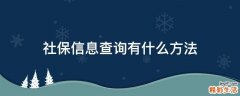 社保信息查询有什么方法