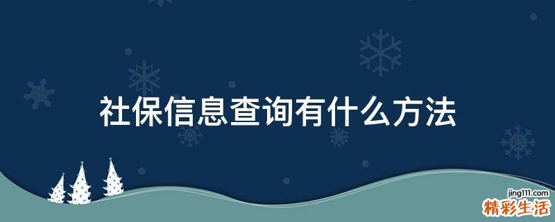 社保信息查询有什么方法