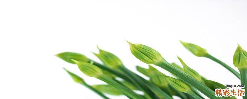韭菜花的热量是多少 韭菜花有什么营养
