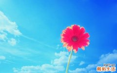 中医治疗强迫症