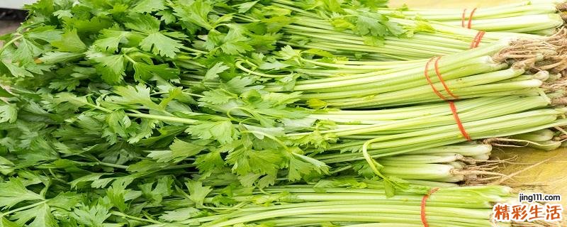 芹菜生吃可以吗 生吃芹菜对身体有哪些好处