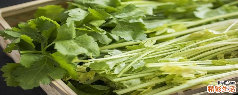 怎样才能挑选到嫩芹菜 芹菜叶洗净直接生吃可以嘛