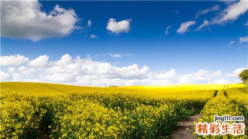 晕针是怎么回事?