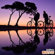 为什么我们不能坚持？