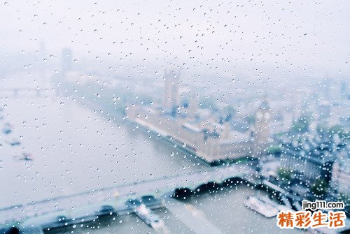 保养肌肤的食物有哪些