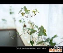 职场故事：谁谋杀了工作主动性？