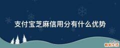 支付宝芝麻信用分有什么优势